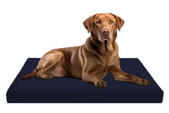 Dazzle Collection Premium Dog Bed Cushion Waterproof Cover Orthopaedic Comfort and Quality Pet Bed Memory Foam for Large Dogs, with Washable & Removable Zipped Cover (Small (77 x 52 x 5cm), Navy) Dazzle Collection uk