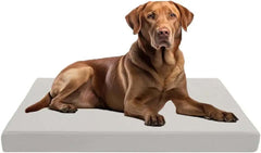 Dazzle Collection Small Dog Bed Memory Foam Dog Bed Cushion with Washable Removable Cover Orthopaedic Comfort and Quality Pet Bed Mattress Dazzle Collection