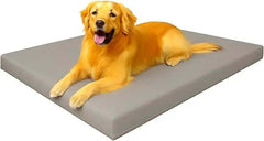 Waterproof Dog Bed Cushion Orthopaedic Pet Bed For Dog & Cats Polyester Cover with Fiber Filling Bed Indoor & Outdoor Premium Comfortable Dog Mat Dazzle Collection uk