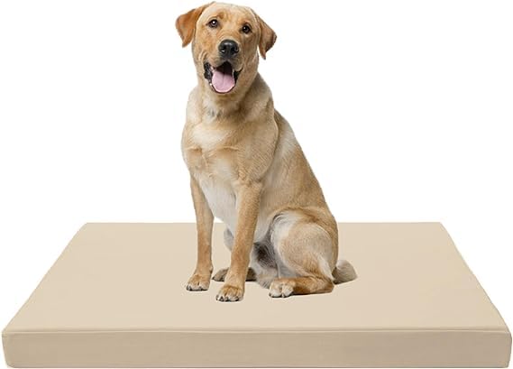 Dazzle Collection Premium Dog Bed Cushion Waterproof Cover Orthopaedic Comfort and Quality Pet Bed Memory Foam for Large Dogs, with Washable & Removable Zipped Cover (Small (77 x 52 x 5cm), Navy) Dazzle Collection uk