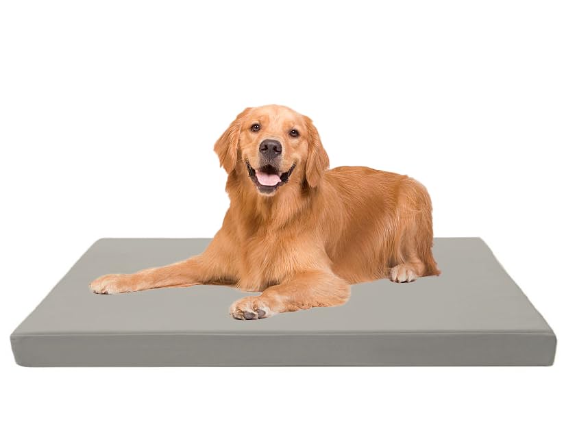 Dazzle Collection Premium Dog Bed Cushion Waterproof Cover Orthopaedic Comfort and Quality Pet Bed Memory Foam for Large Dogs, with Washable & Removable Zipped Cover (Small (77 x 52 x 5cm), Navy) Dazzle Collection uk
