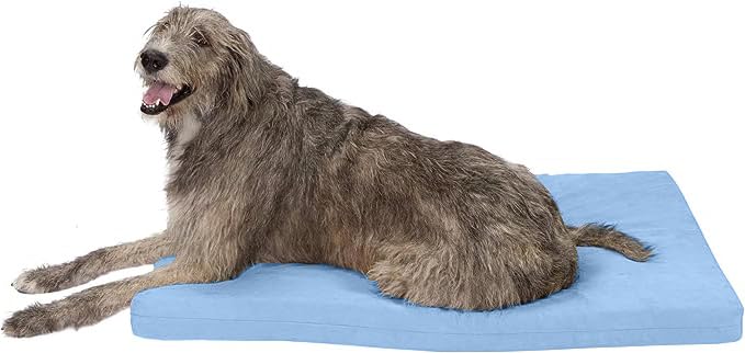 Dazzle Collection Premium Dog Bed Cushion Waterproof Cover Orthopaedic Comfort and Quality Pet Bed Memory Foam for Large Dogs, with Washable & Removable Zipped Cover (Small (77 x 52 x 5cm), Navy) Dazzle Collection uk