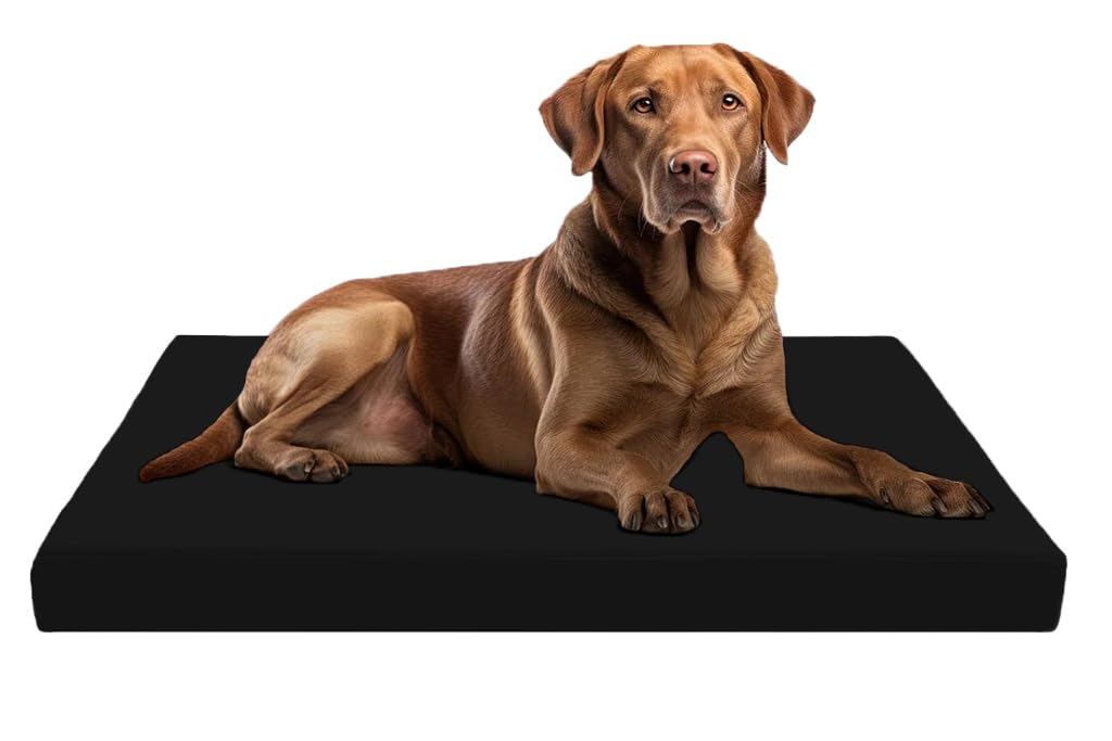 Dazzle Collection Premium Dog Bed Cushion Waterproof Cover Orthopaedic Comfort and Quality Pet Bed Memory Foam for Large Dogs, with Washable & Removable Zipped Cover (Small (77 x 52 x 5cm), Navy) Dazzle Collection uk