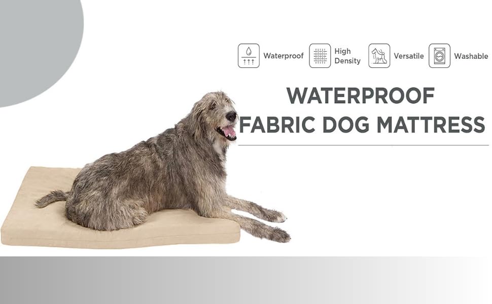 Dazzle Collection Premium Dog Bed Cushion Waterproof Cover Orthopaedic Comfort and Quality Pet Bed Memory Foam for Large Dogs, with Washable & Removable Zipped Cover (Small (77 x 52 x 5cm), Navy) Dazzle Collection uk
