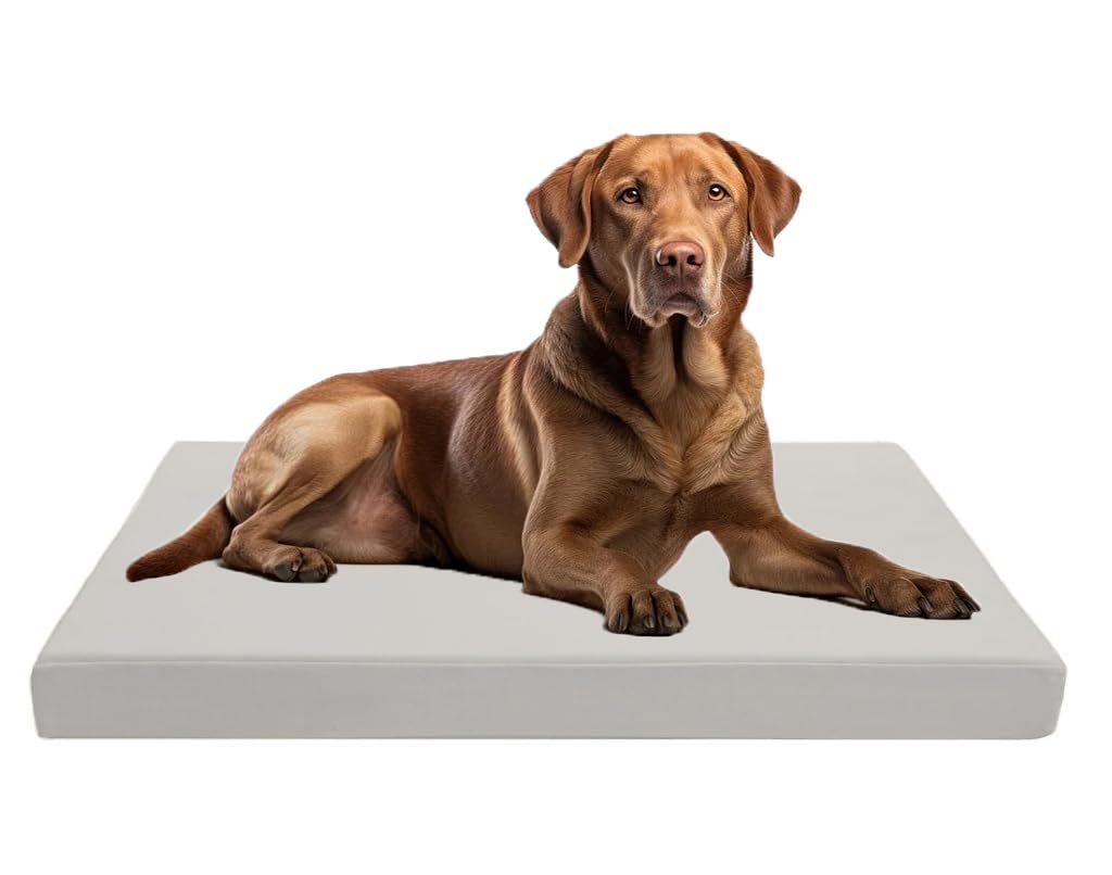 Dazzle Collection Premium Dog Bed Cushion Waterproof Cover Orthopaedic Comfort and Quality Pet Bed Memory Foam for Large Dogs, with Washable & Removable Zipped Cover (Small (77 x 52 x 5cm), Navy) Dazzle Collection uk
