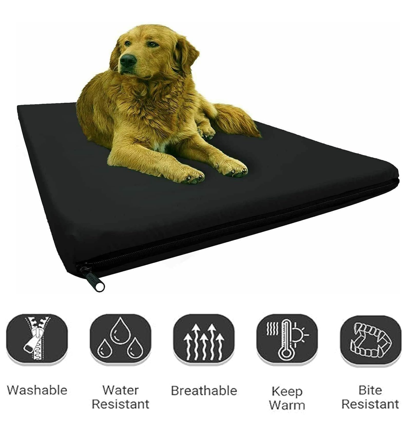 Dazzle Collection Premium Dog Bed Cushion Waterproof Cover Orthopaedic Comfort and Quality Pet Bed Memory Foam for Large Dogs, with Washable & Removable Zipped Cover (Small (77 x 52 x 5cm), Navy) Dazzle Collection uk