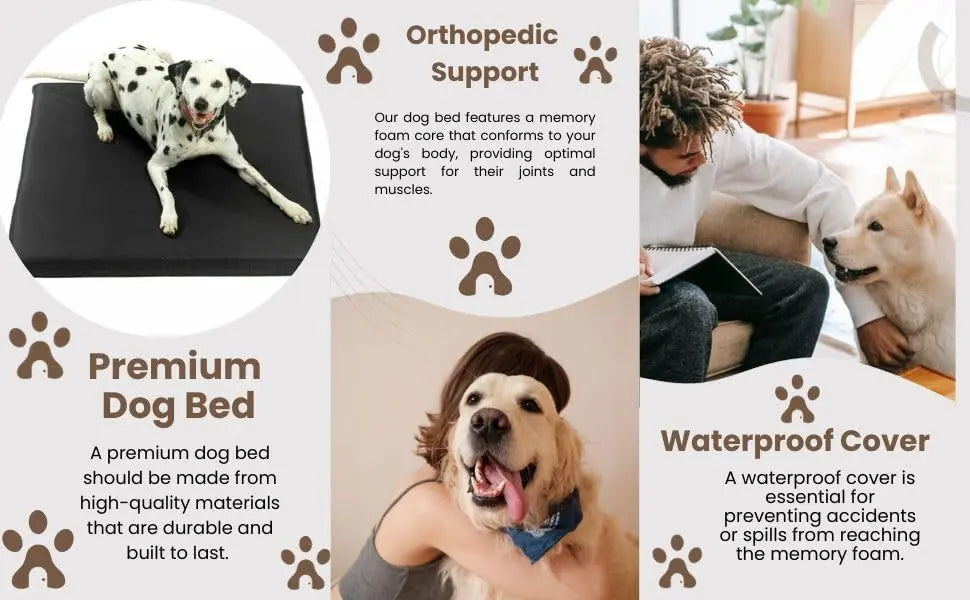 Dazzle Collection Small Dog Bed Memory Foam Dog Bed Cushion with Washable Removable Cover Orthopaedic Comfort and Quality Pet Bed Mattress Dazzle Collection