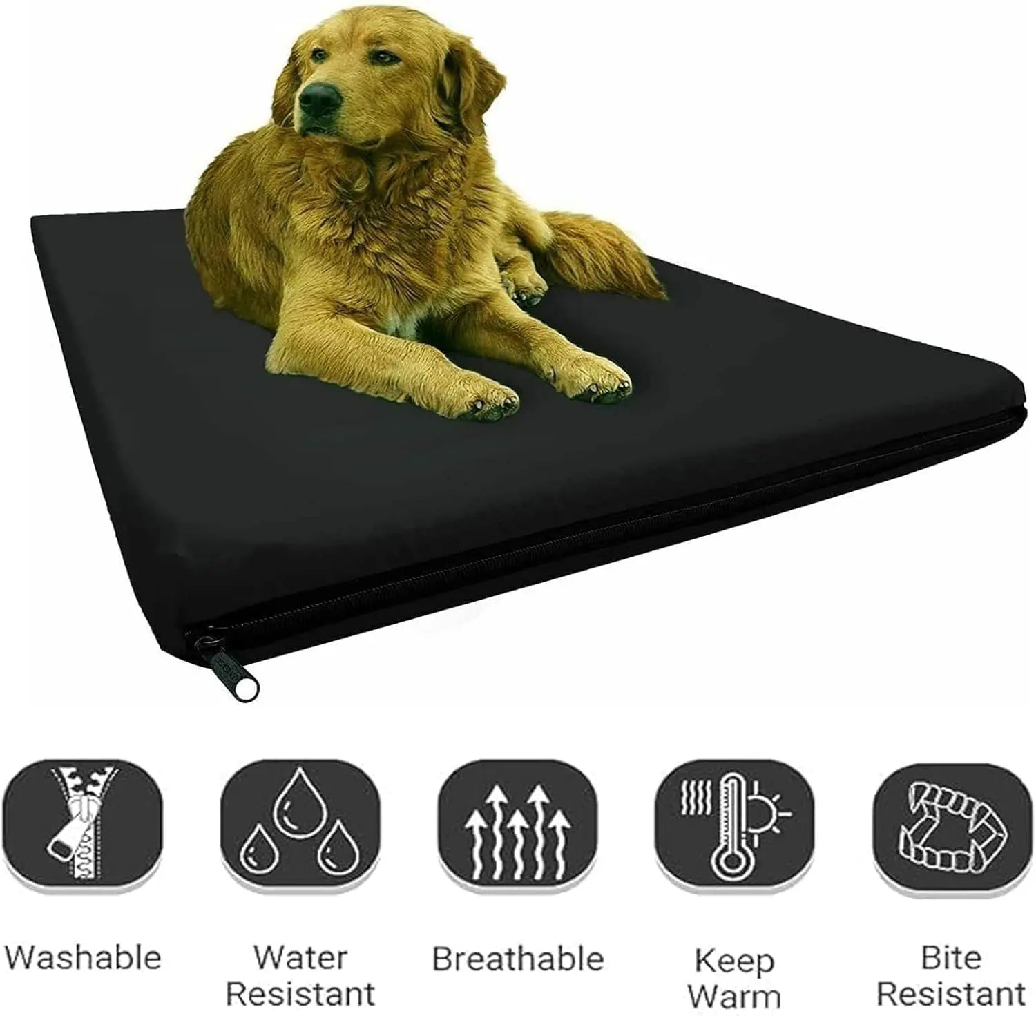 Dazzle Collection Small Dog Bed Memory Foam Dog Bed Cushion with Washable Removable Cover Orthopaedic Comfort and Quality Pet Bed Mattress Dazzle Collection