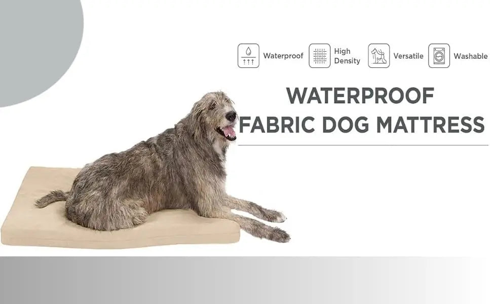 Dazzle Collection Small Dog Bed Memory Foam Dog Bed Cushion with Washable Removable Cover Orthopaedic Comfort and Quality Pet Bed Mattress Dazzle Collection