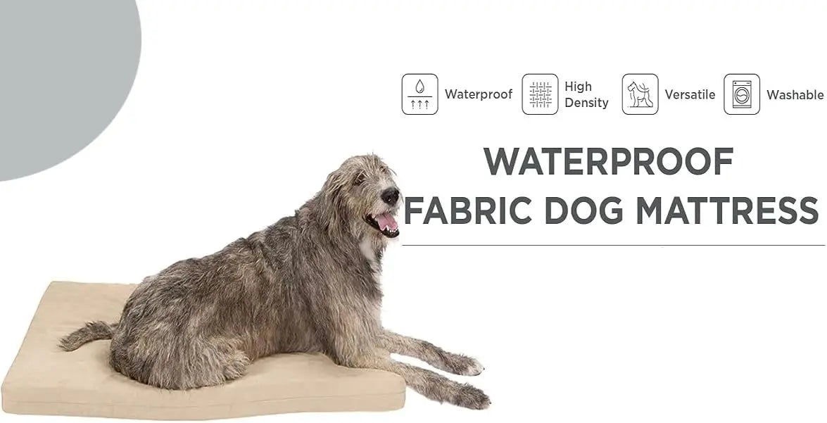 Dazzle Collection X Large Dog Bed Memory Foam Dog Bed Cushion Orthopaedic Comfort & Quality X Large Pet Bed Mattress with Washable Removable Cover Dazzle Collection