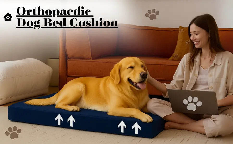 Waterproof Dog Bed Cushion Orthopaedic Pet Bed For Dog & Cats Polyester Cover with Fiber Filling Bed Indoor & Outdoor Premium Comfortable Dog Mat Dazzle Collection uk